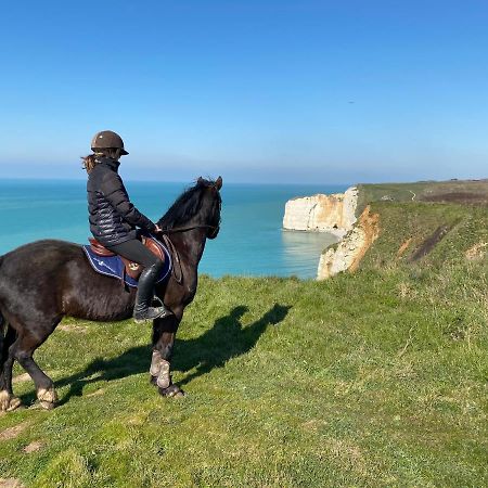 Domaine Equestre Etretat Bed & Breakfast Le Tilleul ภายนอก รูปภาพ