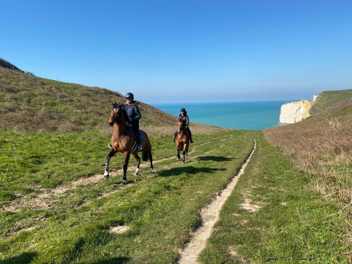 Domaine Equestre Etretat Bed & Breakfast Le Tilleul ภายนอก รูปภาพ