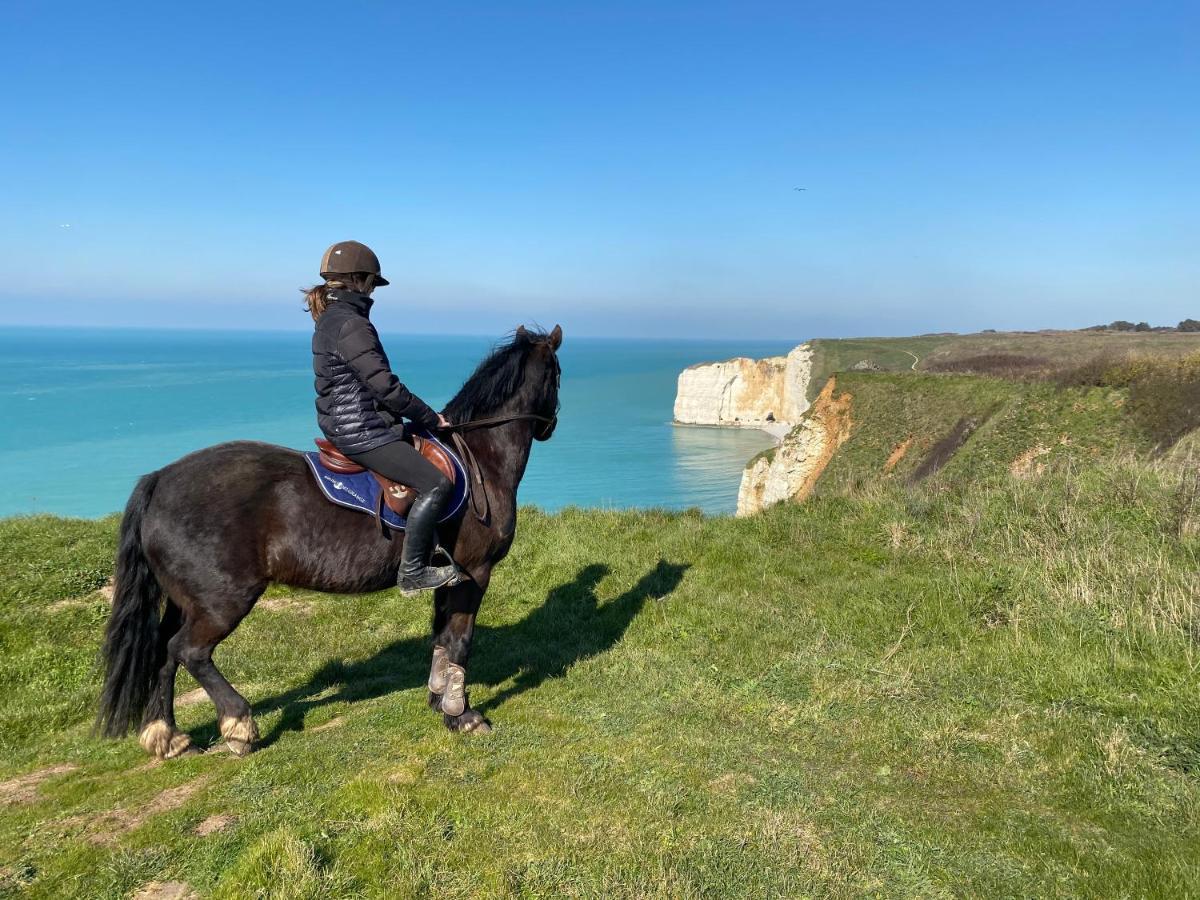 Domaine Equestre Etretat Bed & Breakfast Le Tilleul ภายนอก รูปภาพ